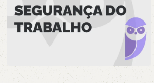 PETROBRAS Técnico Ênfase 15 Segurança do Trabalho Pós-Edital 2024 - Estartégia