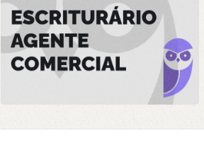 Banco do Brasil Escriturário – Agente Comercial 2024 - Estratégia