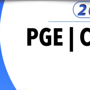PGE | CE – Reta Final – Técnico de Representação Judicial – Direito da Procuradoria Geral do Estado do Ceará [2025] Aprovação PGE PGE CE CEARA PGECE