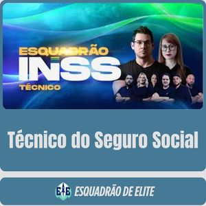 INSS – Técnico do Seguro Social – 2025 (Esquadrão)